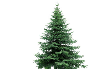 christmas tree, isolated on a transparent background. PNG