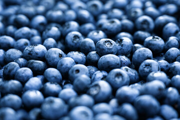 Heap of fresh sweet blueberry berries closeup. Food photography
