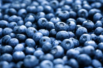  Heap of fresh sweet blueberry berries closeup. Food photography © Ivan Kmit