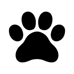 animal footprints animal paws