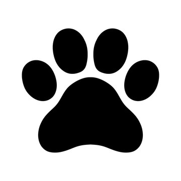 animal footprints animal paws