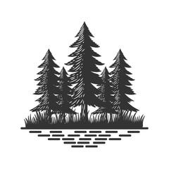 Rustic Pine Evergreen Cedar Cypress Larch Conifer Coniferous Fir Trees Forest Logo Design Vector