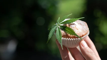  Cupcake with cannabis leaf in man hand. Dessert cake with marijuana close up. Cooking baking cakes with medical weed. Food photography © Ivan Kmit