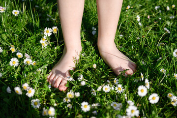 Close-up of a barefoot kid on the green grass with flowers in the garden. Live in nature concept