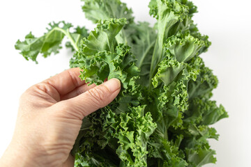 A bunch of fresh kale leaves on a white background.