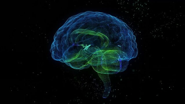 Human brain. Nervous system mesh of human 3d model brain.