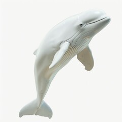 Photo of Beluga isolated on white background