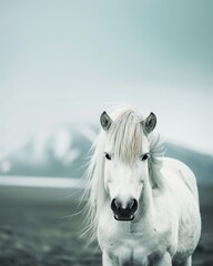 White horse, soft pastel colors, minimalism, sky blue background, serenity and calm, photography, long white mane, green grassy field with distant mountains, ethereal, dreamlike atmosphere