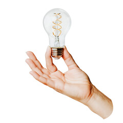 Png hand holding light bulb sticker, transparent background