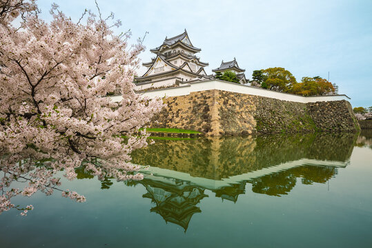 Kishiwada Castle, a Japanese castle located in Kishiwada city, Osaka, Japan.