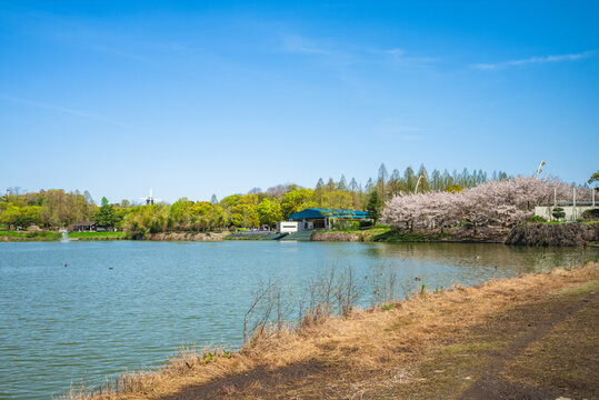 Scenery of Tsurumi Ryokuchi Park located in Osaka city, Kansai, Japan