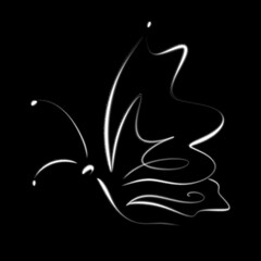 Mysterious beauty: a white butterfly on a black background. The perfect accent for your design or project.