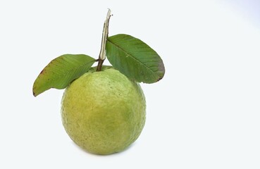 Organic Guava Fruit with Green Leaves Isolated on White Background with Copy Space