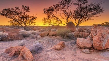 A vibrant blue and yellow sunset, with desert plants and red rock formations
