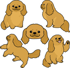 Simple and adorable illustration set of Pekingese dog