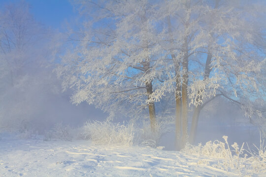 View of snowy forest from a high perspective, Pehorka, Russia.