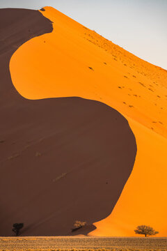 View of Sandy Desert Landscape in Sunset, Deadvlei, Namib Desert, Namibia.