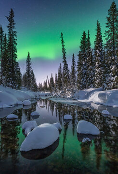 View of lush winter woodland with aerial perspective, Murmansk Oblast, Russia.