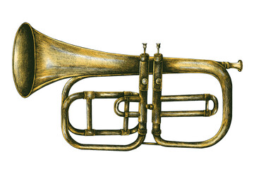 Hand drawn brass trumpet design element © Rawpixel.com
