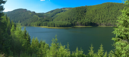 Viewpoint above Vidra lake. The blue waters of the lake flow through coniferous forests that grow...