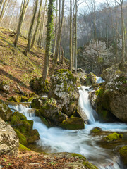 A mountain stream flowing through boulders covered with moss and forming cascades and ponds. The...
