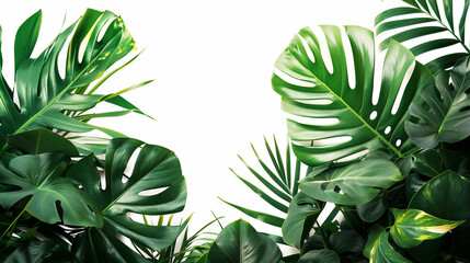 Green Foliage: Tropical Plants Arrangement for Indoor Nature Setting