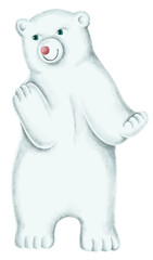 Winter polar bear animal png sticker drawing