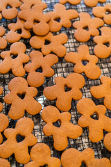 Cooling Gingerbread Cookies on Wire Rack in Modern Kitchen