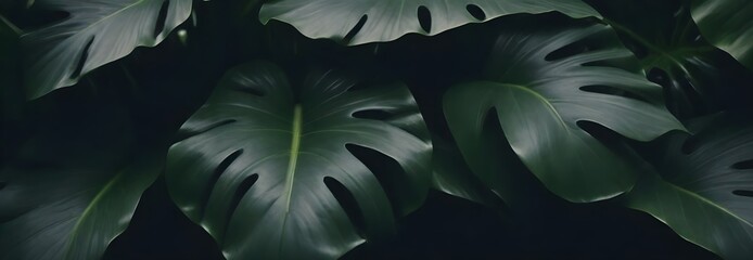 Fototapeta na wymiar green leafs background