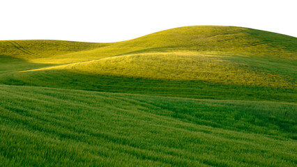 Green hills png border, transparent background