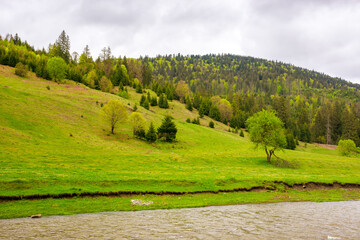 landscape with river among forested hills in spring on an overcast day. water steam with grassy shore. mountainous countryside scenery in the rural valley of ukraine