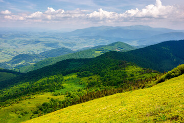 mountainous rolling landscape in summer. borzhava range of ukrainian carpathian mountains beneath a...
