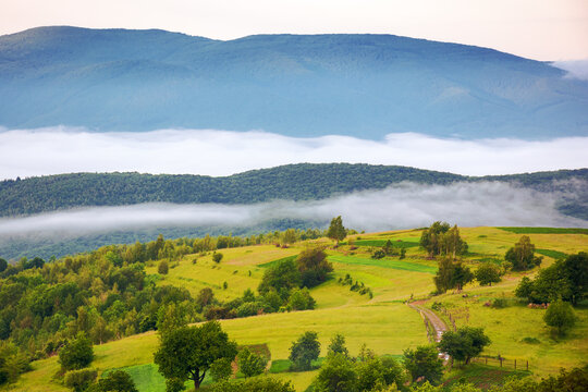 carpathian countryside scenery on a foggy morning in summer. mountainous landscape of ukraine with rural fields on the hills