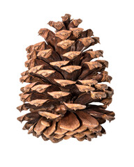 Pine cone png sticker, Christmas decor image on transparent background