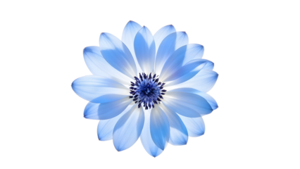 Blur background of green garden