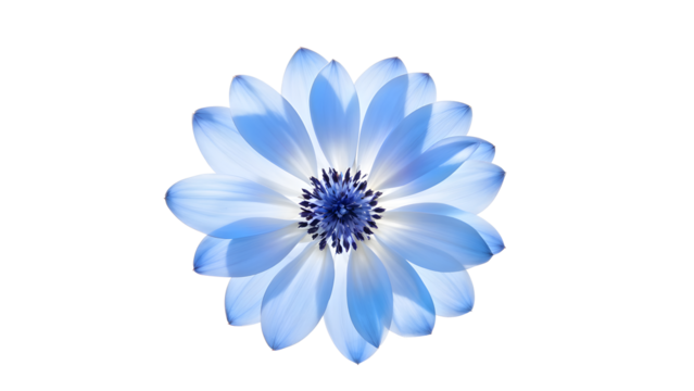 Blur background of green garden