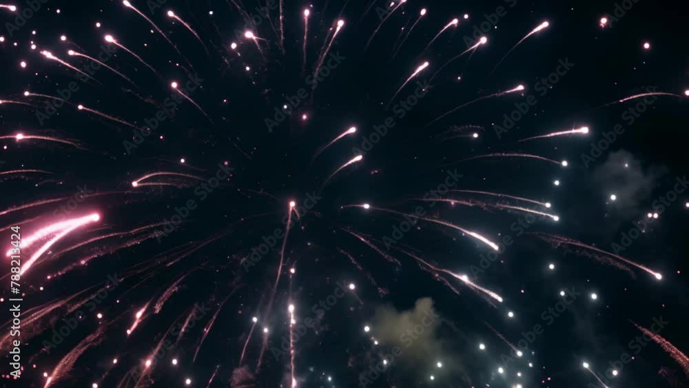 Poster a vibrant spectacle unfolds as a variety of colorful fireworks explode and illuminate the night sky,