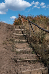 Old narrow wooden stairs leading up a walkway among the grass in the park in summertime