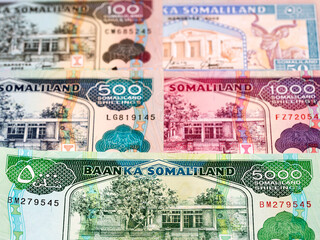 Somaliland shilling a business background