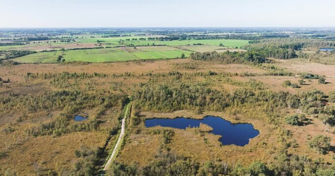 Aerial view of peat bog and lake in countryside, National Park De Groote Peel, Limburg, Netherlands.