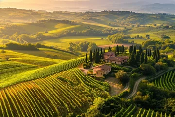 Zelfklevend Fotobehang Aerial View of a Vineyard in the Countryside, Bird's-eye view of sprawling vineyards in Tuscany, Italy, AI Generated © Ifti Digital