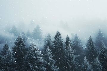 A winter landscape showing a dense forest covered in snow, with an abundance of trees creating a...