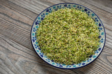Alfalfa sprouts on a plate. Rustic wooden background.