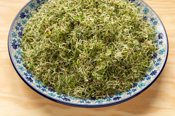 Alfalfa sprouts on a plate. Healthy lifestyle concept.