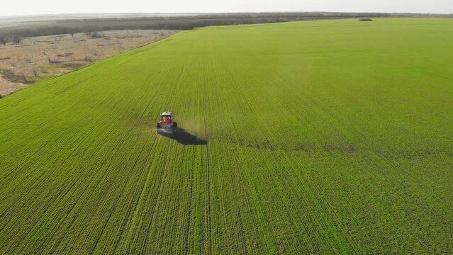 Aerial view of the tractor that irrigates the green field by special installation. Processing of a tractor in the field sprays the field at sunset. Chemical treatment of fields from pests, drone.