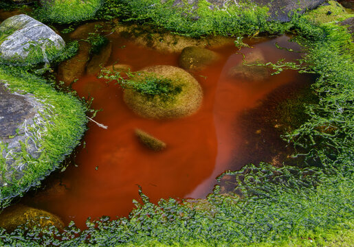 Roter Gezeitent&uuml;mpel Atlantikk&uuml;ste Norwegen