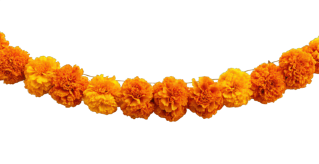 marigold garland png