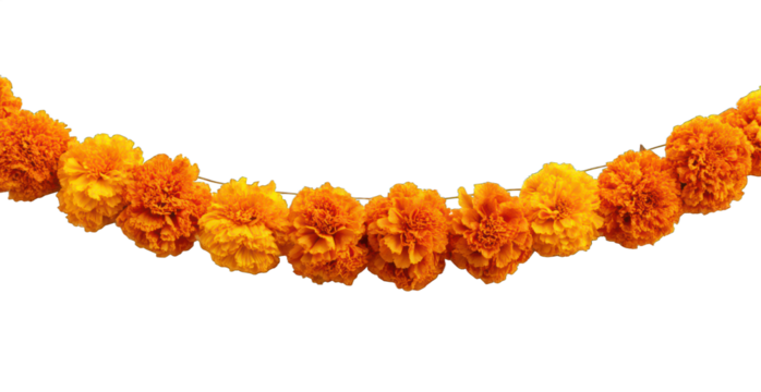 marigold garland png