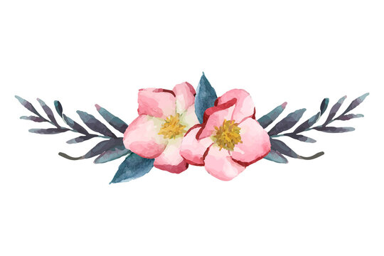 Blooming hellbore png flower border, winter watercolor sticker on transparent background