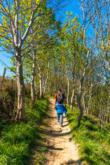 Obraz premium A man walking through a forest on the climb to the Zumaia flysch, Gipuzkoa. Basque Country